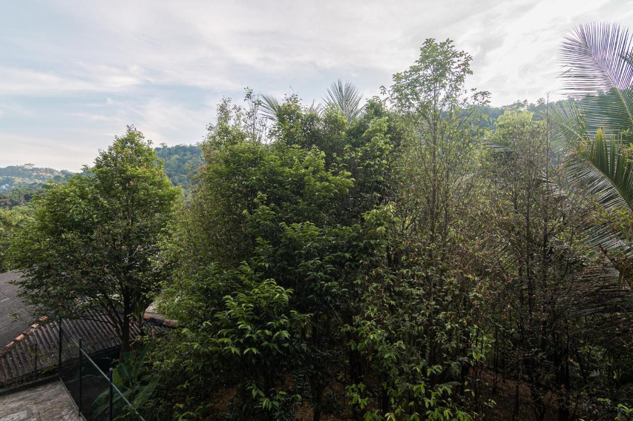 Sun Set Forest Villa Kandy Exterior photo